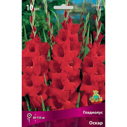 ����  ��������� �����, ������ �� 399 ���