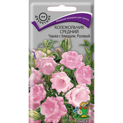 ����  ����������� ������� ����� � ������� �������, ������ �� 26 ���