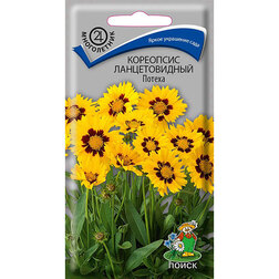 ����  ��������� ������������� ������, ������ �� 26 ���