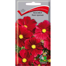 ����  ������ ����� �������, ������ �� 39 ���