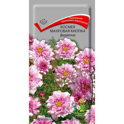 ����  ������ �������� ������ ����������, ������ �� 81 ���