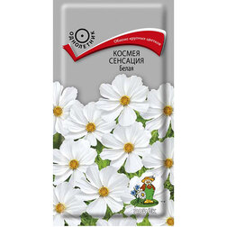 ����  ������ �������� �����, ������ �� 26 ���