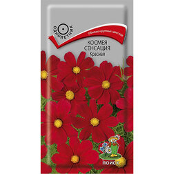 ����  ������ �������� �������, ������ �� 26 ���