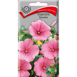 ����  �������� ��������, ������ �� 26 ���