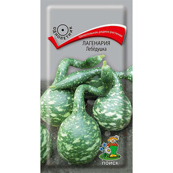 ����  ��������� ��������, ������ �� 61 ���