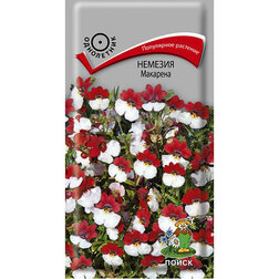 ����  ������� ��������, ������ �� 32 ���