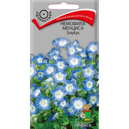 ����  �������� ������� �������, ������ �� 26 ���