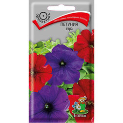 ����  ������� ����, ������ �� 27 ���