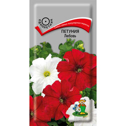 ����  ������� ������, ������ �� 26 ���