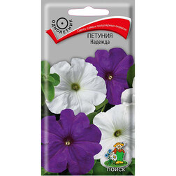 ����  ������� �������, ������ �� 27 ���