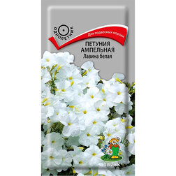 ����  ������� ��������� ������ �����, ������ �� 52 ���