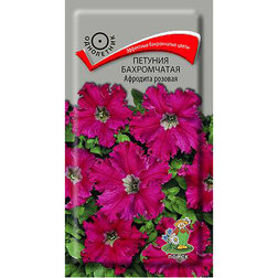 ����  ������� ����������� �������� �������, ������ �� 80 ���