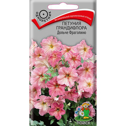 ����  ������� ����������� ������ ��������� (���� ������. �� ����� 2024 �), ������ �� 37.5 ���