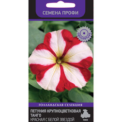 ����  ������� ��������������� ����� ������� � ����� ������� (������ �����), ������ �� 50 ���