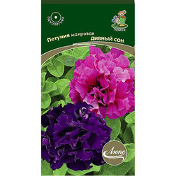 ����  ������� �������� ������ ��� (���� ������. �� ����� 2024 �), ������ �� 58.5 ���