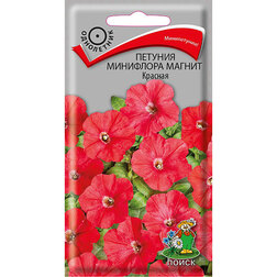 ����  ������� ��������� ������ �������, ������ �� 55 ���