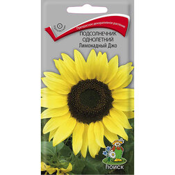 ����  ������������ ���������� ���������� ���, ������ �� 26 ���