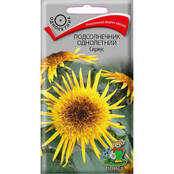 ����  ������������ ���������� ������, ������ �� 45 ���