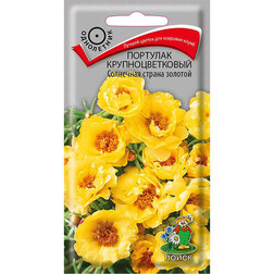 ����  �������� ��������������� ��������� ������ �������, ������ �� 34 ���