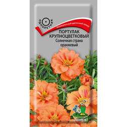 ����  �������� ��������������� ��������� ������ ���������, ������ �� 34 ���