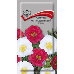 ����  �������� ��������������� �������, ������ �� 35 ���