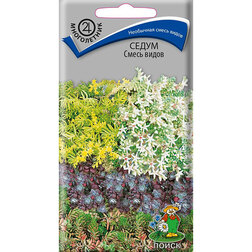 ����  ����� ����� �����, ������ �� 43 ���