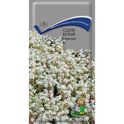 ����  ����� ����� ����� ���, ������ �� 45 ���