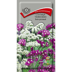 ����  ������� �������� ����-�������, ������ �� 27 ���