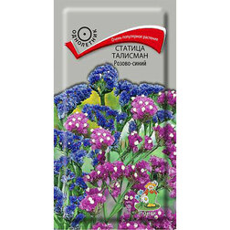 ����  ������� �������� ������-�����, ������ �� 27 ���