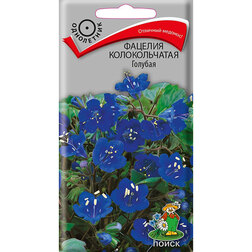 ����  ������� ������������� �������, ������ �� 33 ���