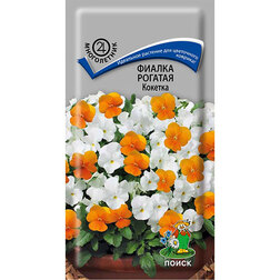 ����  ������ ������� �������, ������ �� 36 ���