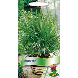 ����  ��������, ������ �� 89 ���