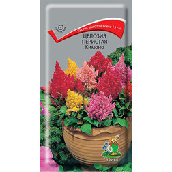 ����  ������� �������� ������, ������ �� 26 ���