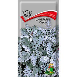 ����  ��������� ������, ������ �� 28 ���