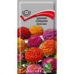 ����  ������ ������� ���������, ������ �� 26 ���