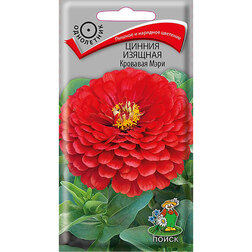 ����  ������ ������� �������� ����, ������ �� 26 ���