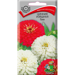 ����  ������ ������� ����, ������ �� 26 ���