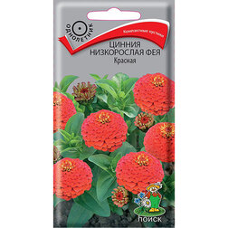 ����  ������ ����������� ��� �������, ������ �� 29 ���