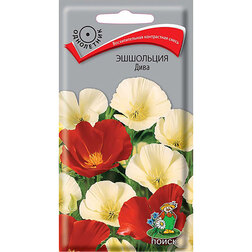 ����  ��������� ����, ������ �� 26 ���