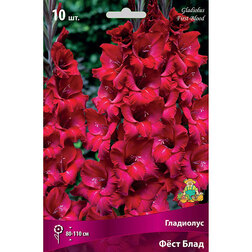 ����  ��������� ���� ����, ������ �� 399 ���