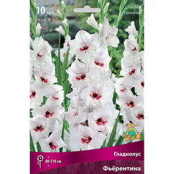 ����  ��������� ����������, ������ �� 476 ���