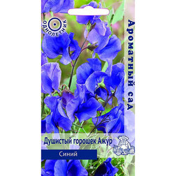 ����  �������� ������� ���� ����� (��������� ���), ������ �� 65 ���