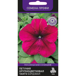 ����  ������� ��������������� ����� �������� (������ �����), ������ �� 50 ���