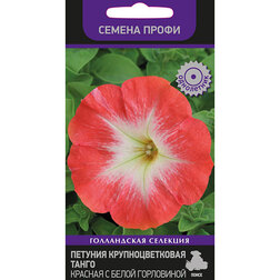 ����  ������� ��������������� ����� ������� � ����� ���������� (������ �����), ������ �� 50 ���