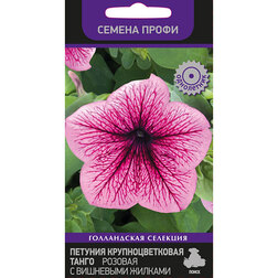 ����  ������� ��������������� ����� ������� � ��������� ������� (������ �����), ������ �� 50 ���