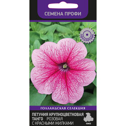 ����  ������� ��������������� ����� ������� � �������� ������� (������ �����), ������ �� 50 ���