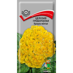 ����  ������� ����������� ������ ����� (���� ������. �� ����� 2024 �), ������ �� 36 ���