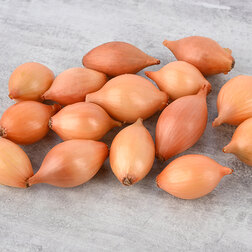 ����  ���-����� ������ (��-1��), ������ �� 399 ���