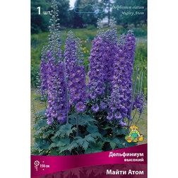 ����  ���������� ������� ����� ����, ������ �� 595 ���