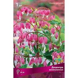 ����  �������� ������������, ������ �� 360 ���